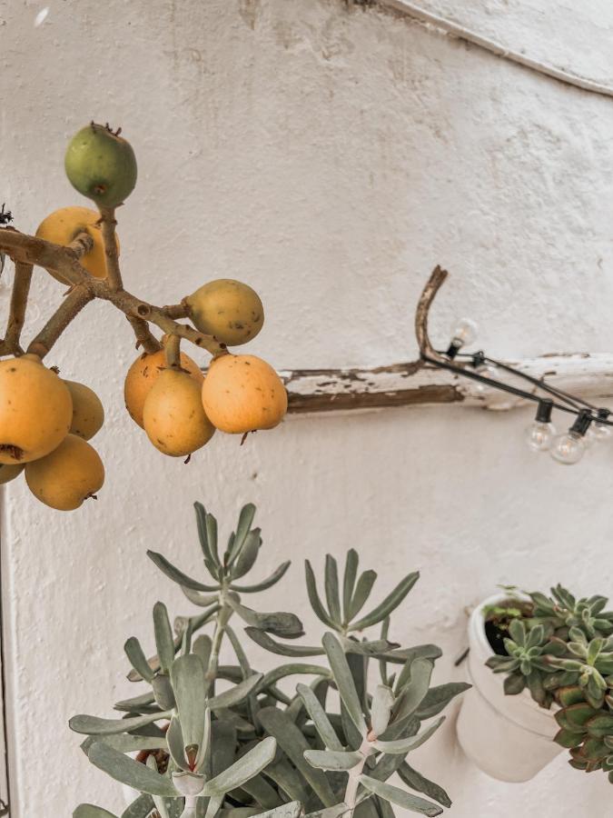 Apartamento Apartamento C-ALMA en el corazón de Vejer Vejer de la Frontera Exterior foto
